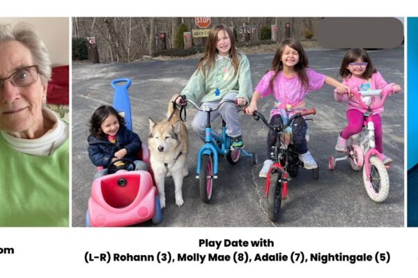 Newsletter update March 2023